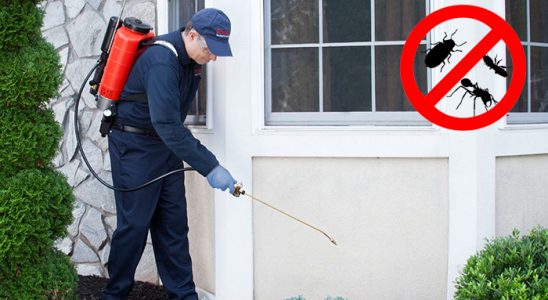 Ovacık Kene İlaçlama böcek ilaçlama ve haşere kontrolü — ilaclama-tr.com